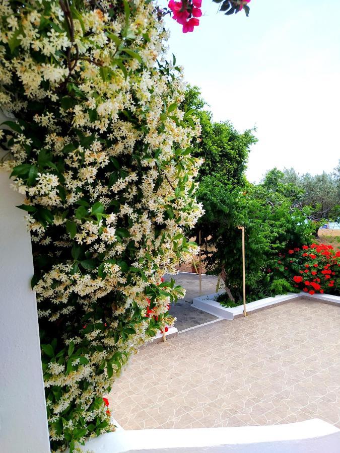 Villa Stella Family House Pefki  Bagian luar foto